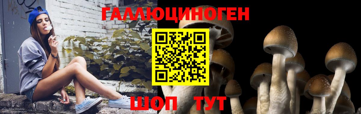 Псилоцибиновые грибы ЛСД Дубна