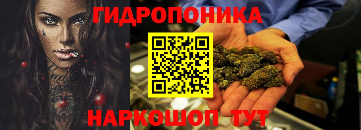 Марихуана ГИДРОПОН  Марихуана Ganja  Каннабис Bruce Banner  Вход с VPN  Каннабис VHQ  Дубна 